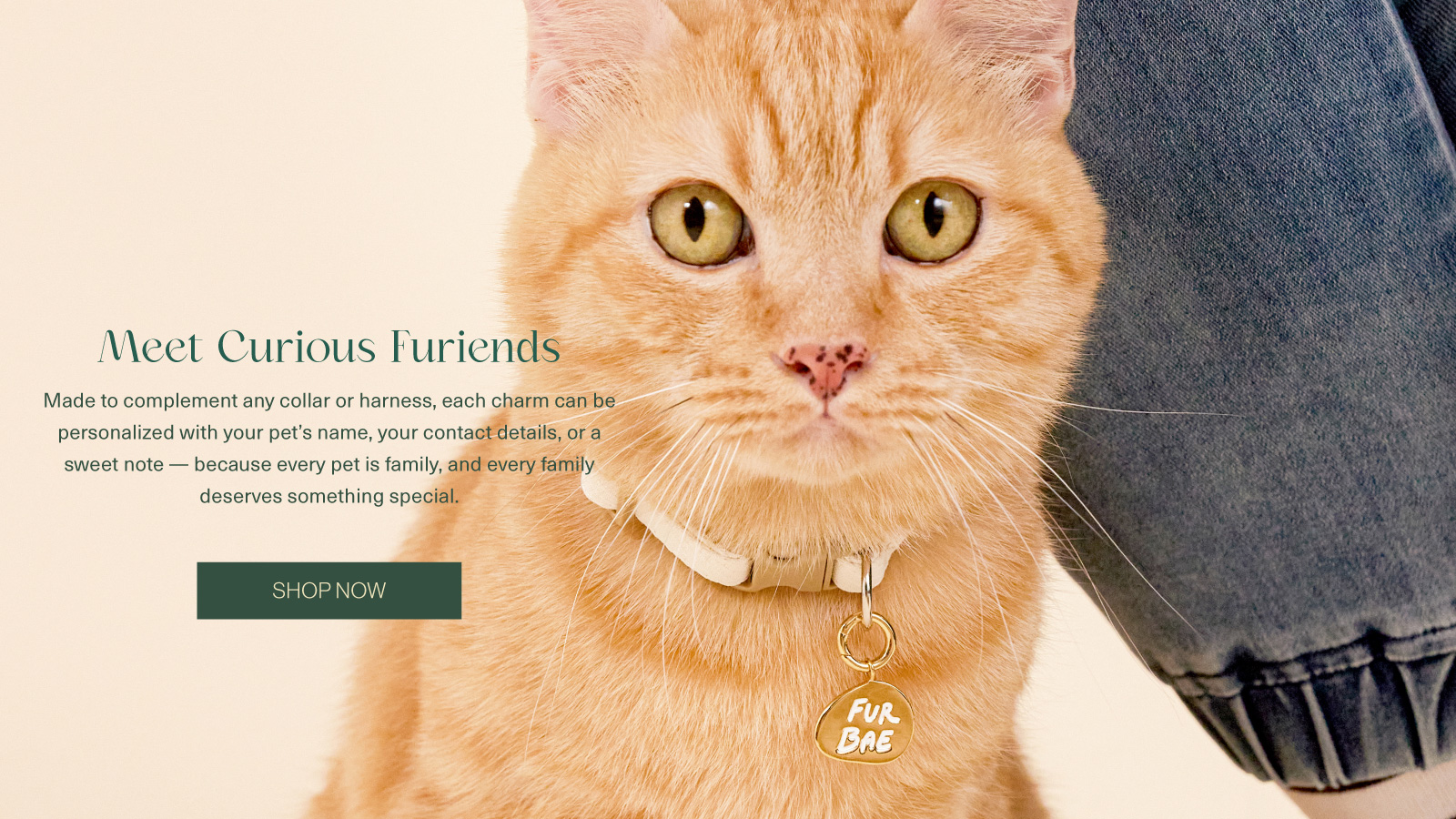 Curious Furiends Pet Charm