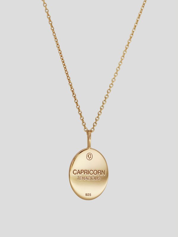 Constellation Necklace - Capricorn