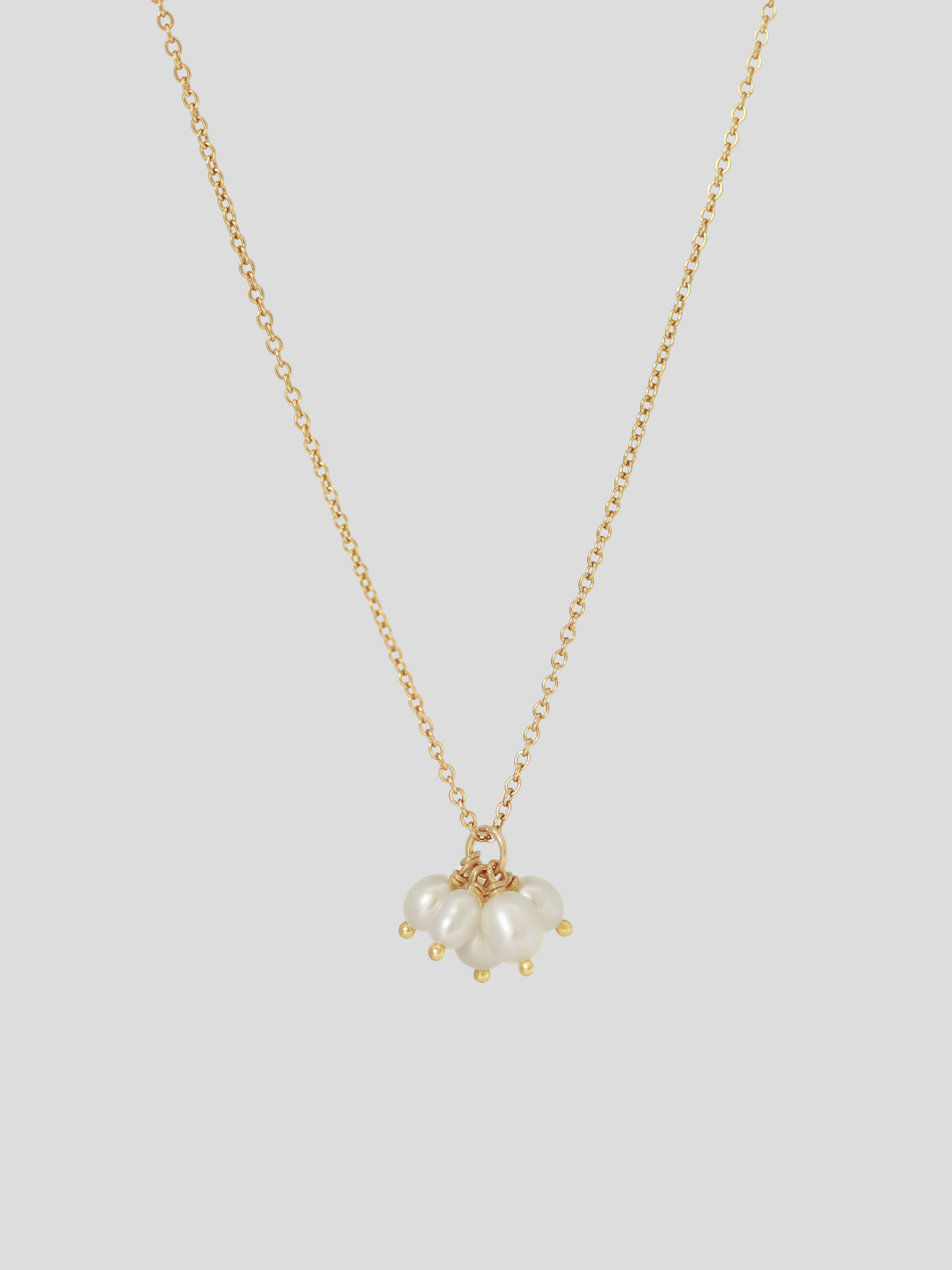 Tilly Necklace - Freshwater Pearl In Champagne Gold | Curious Creatures