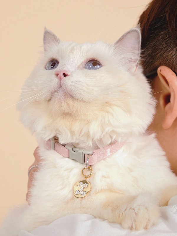Pet Charm - Just A Baby in Champagne Gold