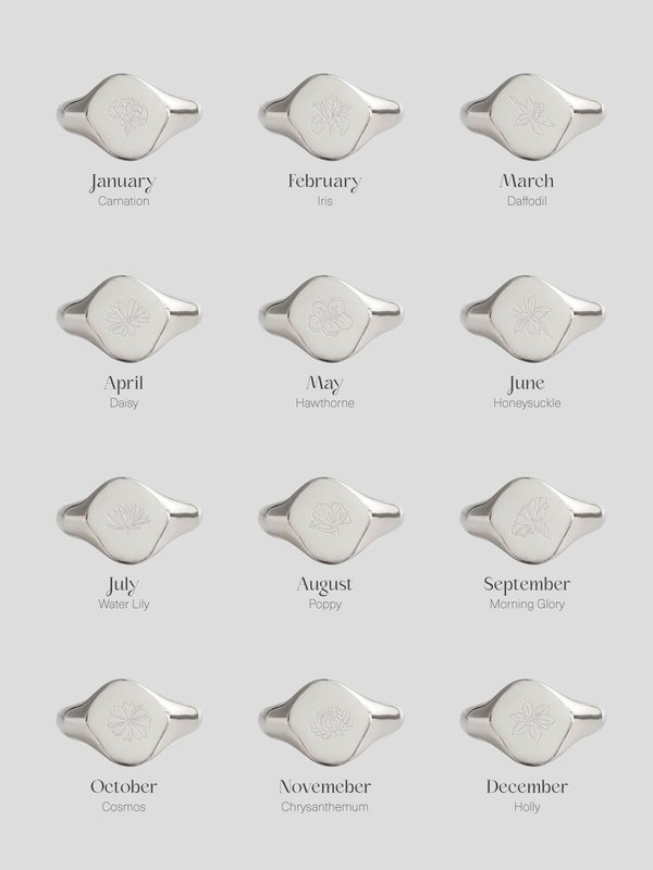 Salvatore Ring in Silver - Birth Flower