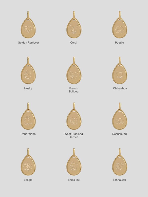 Lily Necklace in Champagne Gold - Pet Illustration